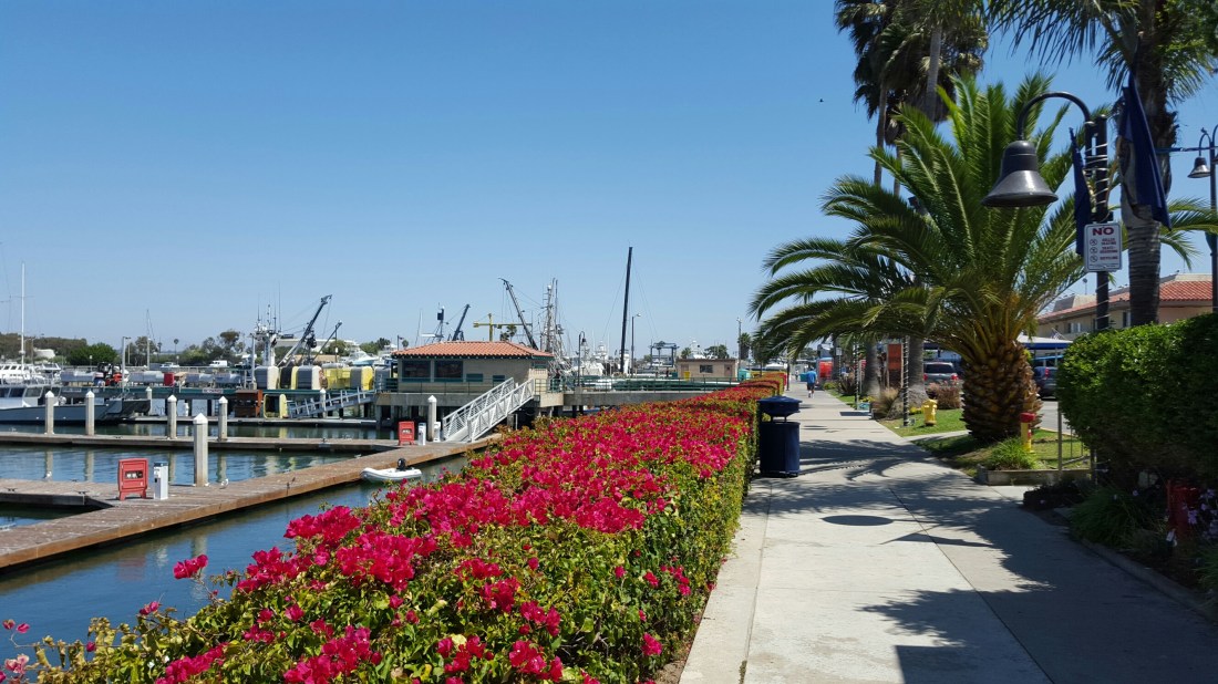 California Marina Shot2